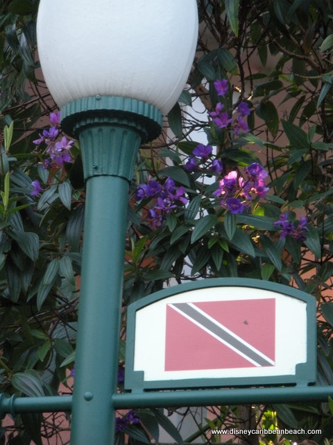 Trinidad South flag